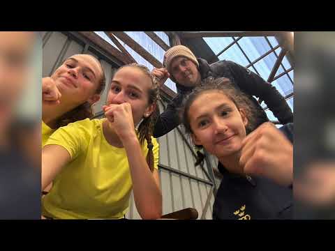 Svenskt brons i Lag-EM