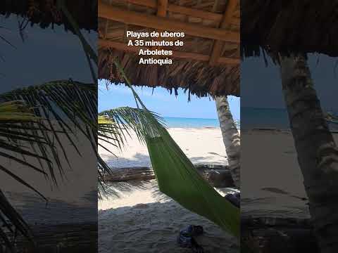 DONDEMONIK ARBOLETES ANTIOQUIA