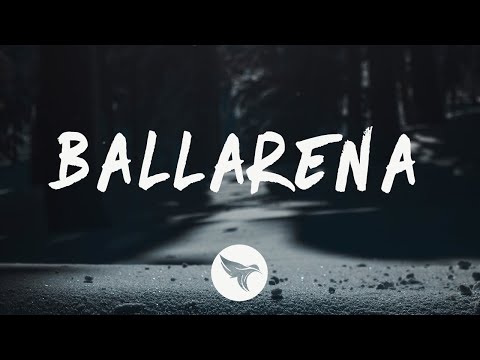 SAVI - Ballarena (Lyrics) Feat. Aleesia & Not From Mars