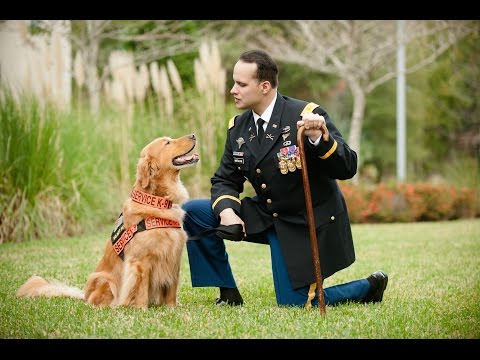 Veterans' Voices - Until Tuesday