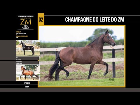 02  Champagne do Leite do ZM