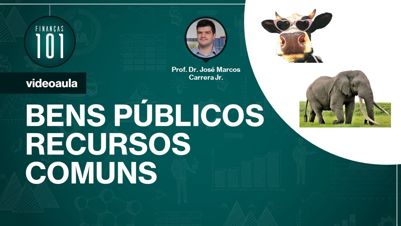 Bens Públicos e Recursos Comuns