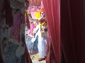 Trending Viral Shorts Weeding Rajasthani Like Share Comment And Subscribe