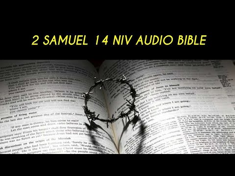 2 SAMUEL 14 NIV AUDIO BIBLE (with text)