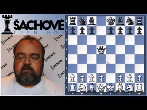 Peter Paleček - "Pešiak základ armády"