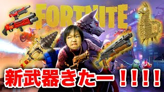 【フォートナイト】アサルトとショットガンが一緒！？新武器ってどうなの？