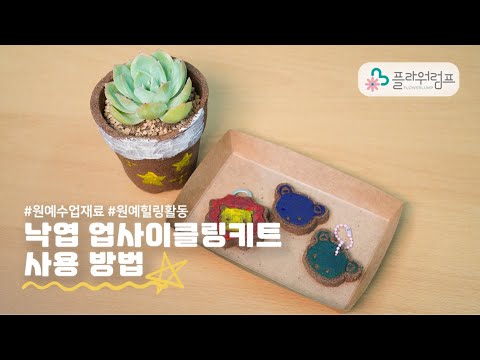 낙엽 업사이클링 체험 키트