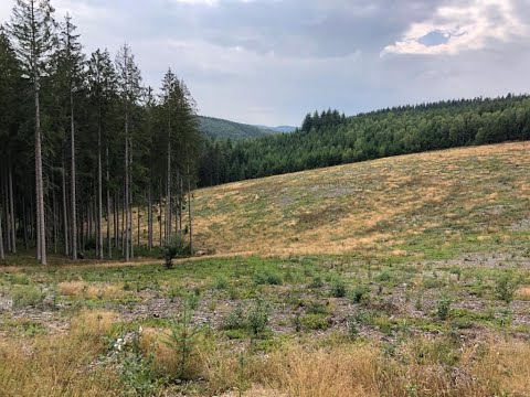 VTT Stoneman Arduenna 15.08.2020 (180km, d+4000m) - Day 1