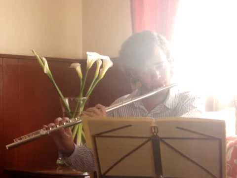 Akogare (Takayuki Negishi)