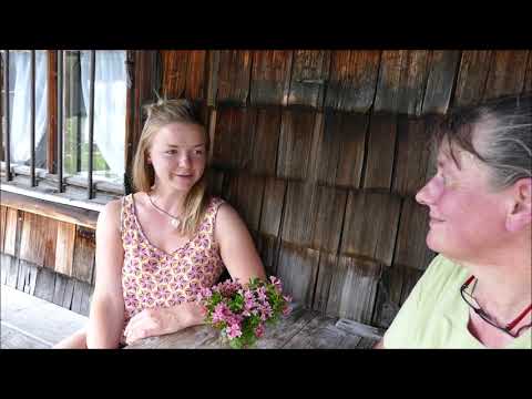 Verhaltensregeln auf der Alm