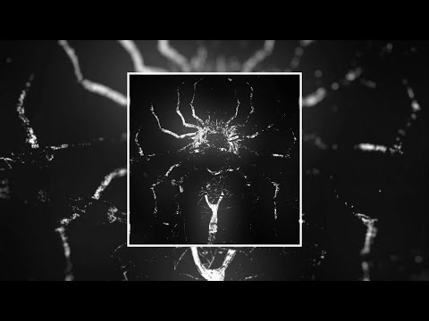 𝙋𝙝𝙤𝙣𝙠𝙎𝙞𝙘𝙠. and PHNKLORD