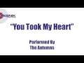 The Autumns- You Took My Heart
