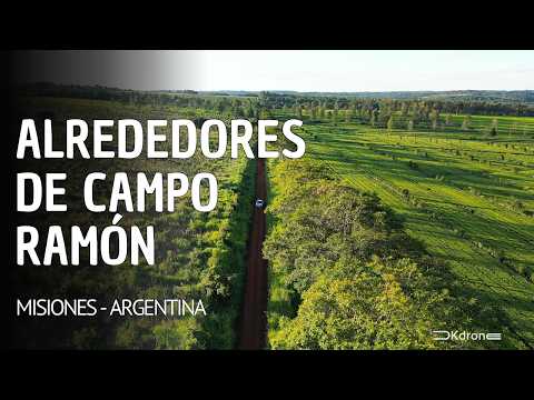 📍Caminos rurales, plantaciones de té y yerba mate de Campo Ramón | Misiones, Argentina.