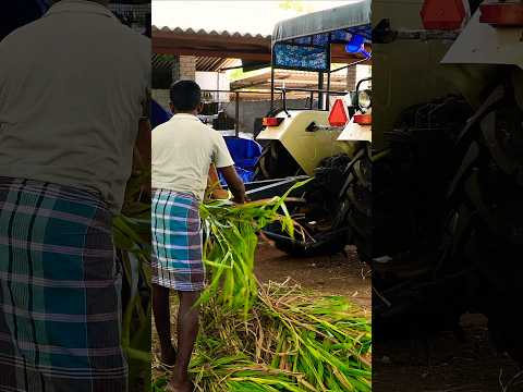 Vidhata Silage Packing Machine