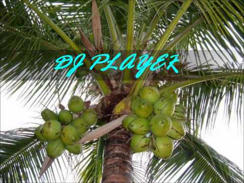 DJ PLAYAR vs Marina Davis - La'u Samoa