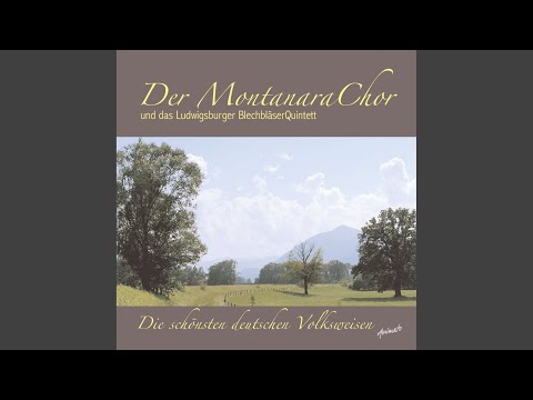 Der Wanderer / Ein Sträußchen am Hute