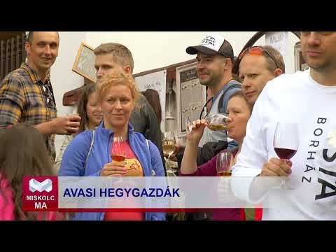 Videó előnézet