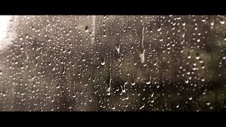 Not a day for the Garden