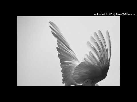 Kingtips SA & Toosh SA - Guardian Party(Afro Drum)