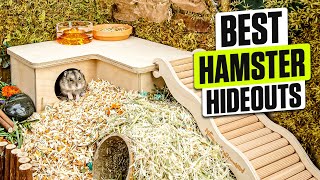 3 BEST Hamster Hideouts - Act Fast for a Happier Habitat!