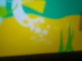 Weta Pbs Screen Bug