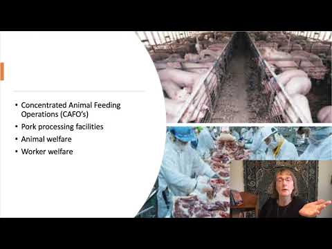 Porkopolis: The Human and Economic Tragedy of Manufactured Meat (1)