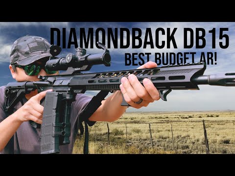 Diamondback DB15 - Review (2,000 Rounds Later)