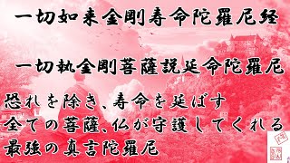 一切如来金剛寿命陀羅尼経　一切執金剛菩薩説延命陀羅尼　すべての仏と菩薩が加護してくれる最強の真言陀羅尼６篇の内の一つ　多くの人々に施すと大きな功徳が得られる新型コロナ終息を祈る　JAPAN　PRAY