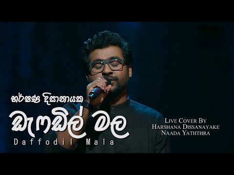 "Daffodil Mala" | ඩැෆඩිල් මල | Harshana Dissanayake | Live Cover | Naada Yaththra