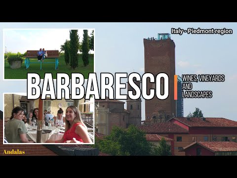 Barbaresco - Vinhos, vinhas e paisagens - Itália - Região do Piemonte [VERSÃO INGLESA] [4K]