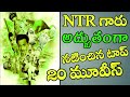 Sr NTR Top 20 Movies List Senior NTR Movies