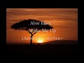 Aloe Blacc - Wake Me Up (Acoustic) ~Lyrics~