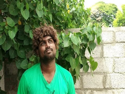 Kalyaana Vayasu - Kolamaavu Kokila (CoCo) Fan Made version
