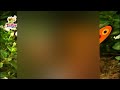 Mr Snail Kids Songs And Nursery Rhymes Babykidstv1