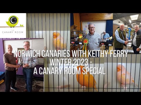 Norwich Canaries with Keith Ferry - A Canary Room Special