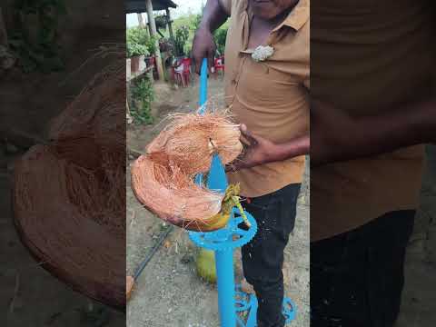 nuevo diseño de pelador de cocos grandes