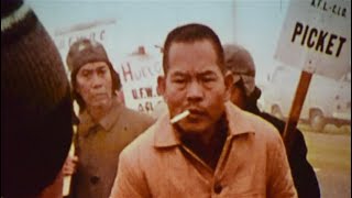 The Delano Manongs: Forgotten Heroes of the United Farm Workers trailer