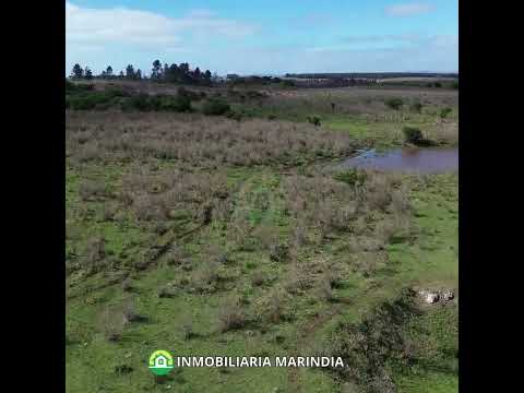 Vendo Chacra de 4has en Migues Rural