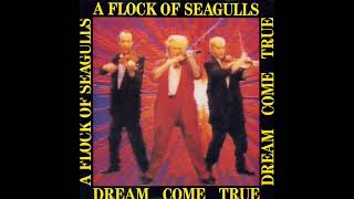A Flock of Seagulls &quot;Dream Come True&quot; LP Album