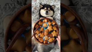 Download lagu ASMR - Manyu immersive happy SPA - Starry sea theme mp3