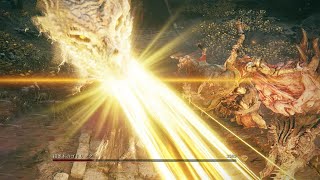【ELDENRING】プラキドサクス風情が...不遜であろう【エルデンリング】