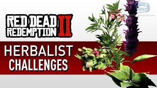 Red Dead Redemption 2 - Herbalist Challenge Guide