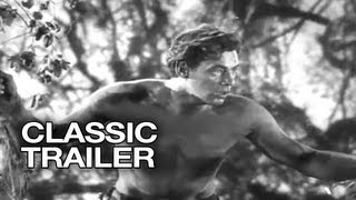 Tarzan The Ape Man (1932) Video