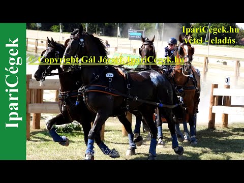 Fogathajtás, VIDA József (29), HUN, 2s, Marathon, 4K, Bp., 2021., sv4K210904-1-1808-220101