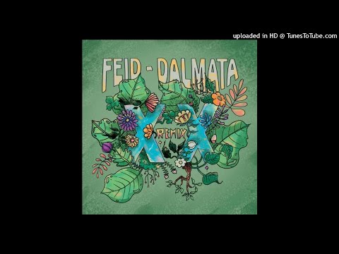 Feid Ft. Dalmata - XX (Full Version)