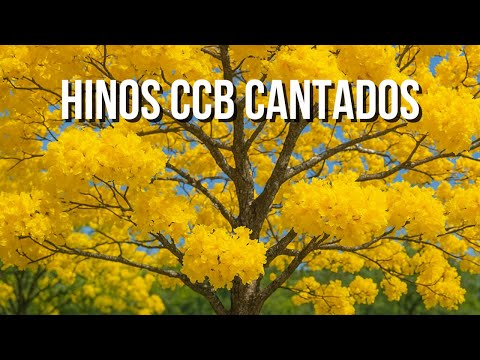 Hinos CCB Cantados Coletânea de Belos Hinos VOL 13