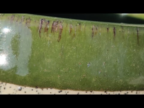 Earth Nation Ceramics is making pottery live!