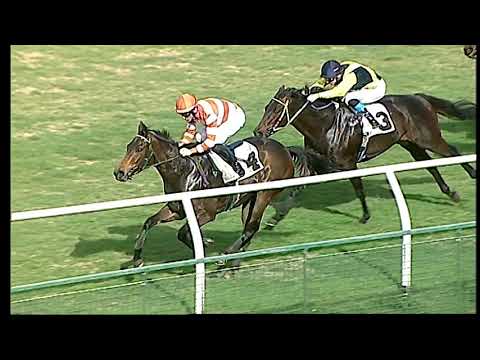 Galoppo 30/01/2021 - 1ª corsa