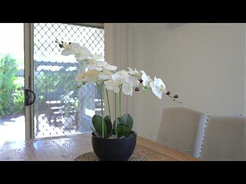 Video for 43 Northquarter Drive, Murrumba Downs  QLD  4503