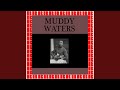 Country Blues No. 2 - Muddy Waters - Topic Country Blues No. 2